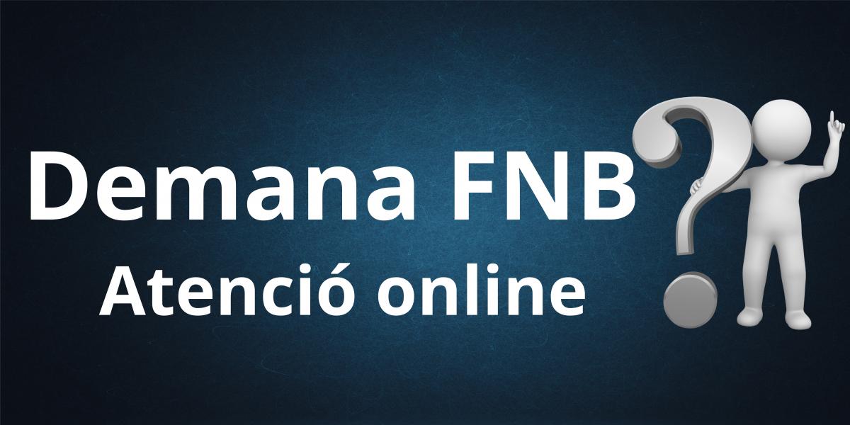 E-enquestes de docència